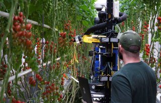 Glastuinbouw blij met innovatieprogramma robotisering