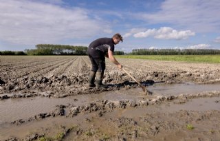 Tweede Kamer wil alternatief voor kalenderlandbouw