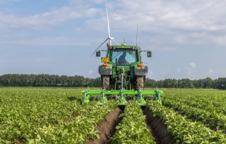 Aanaarder is redding voor aardappelgewassen na regenval