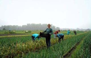 Burgers boeren uit idealisme in de buurt