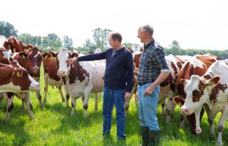 'Weiden doe je pas echt als koeien zich in het gras lekker volvreten'