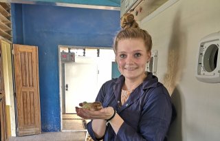 Buitenlandstage: op Crocs en zonder handschoenen de pluimveestal in