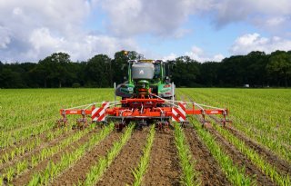 Maisland woelen tegen dichtgeslagen grond