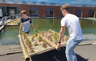 Ecovlot trekt insecten naar glastuinbouwgebied