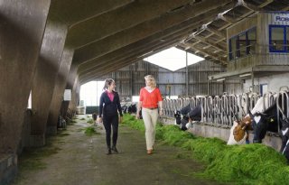 Van der Stok kiest voor verbreding om melkveebedrijf te verduurzamen