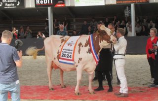 Trillie 171 wint eerste algemeen kampioenschap Nationale Roodbont Show