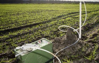 Slimme rotaties brengen norm nitraatuitspoeling binnen bereik