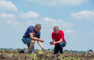 Lastige keuze ondernemers rond maiszaai