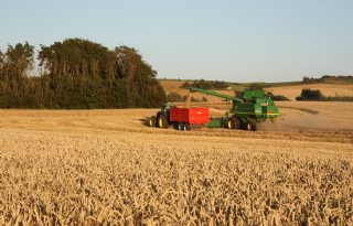 Groen landbouwhervormingsplan in Denemarken krijgt eigen minister