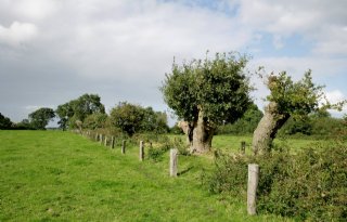 Aanleg 350 kilometer landschapselementen van start