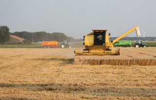 Tarwe daalt 4 procent op termijnmarkt Parijs