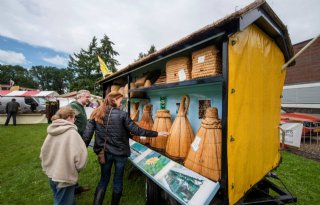 Is een bijenvolk nog rendabel op het erf?