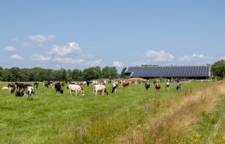 Mars en FrieslandCampina samen aan de slag met reductie broeikasgassen