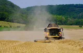 USDA verwacht dit seizoen een groei in het tarweverbruik