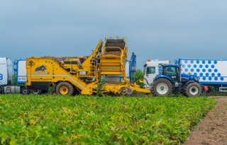 Aardappelteelt in Nedersaksen groeit explosief