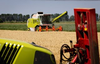 '10 ton wintertarwe haalt dit jaar bijna niemand'