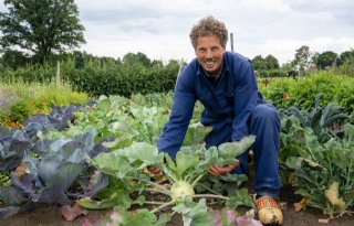 Groentetuin Bijzonder Brabants al tien jaar een walhalla voor topkoks