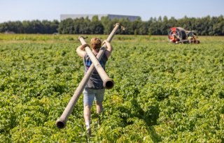 Water om het gewas een beetje groen te houden