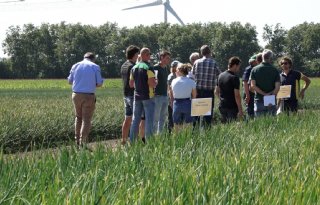 Veel aandacht voor valse meeldauw tijdens Uien Innovatiedag