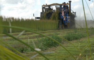 Vlasteelt moet bijdragen aan plasticvrij waddengebied