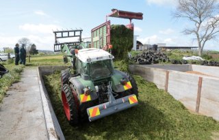 Veel suiker en weinig eiwit in eerste zomerkuilen van 2024