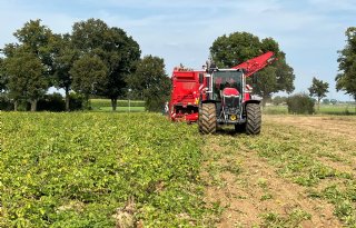 EU heeft even geen behoefte aan Nederlandse aardappel