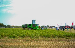 Geld werkt als magneet voor uitbreiding in Europese aardappelteelt