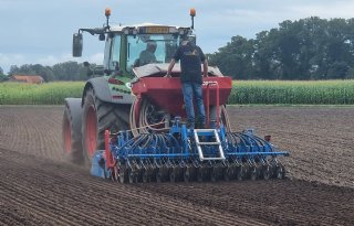 Colzaco zaait rassen voor onderzoek naar volledige verwaarding koolzaadplant