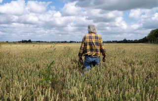 Fotograaf legt landbouw in transitie vast voor Noord-Hollands Archief