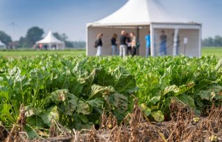 Integrated Crop Management wijst telers weg naar minder chemie