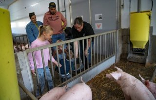 Bezoekers bekijken wroetstal in Putten tijdens Weekend van het Varken