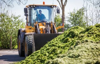 Productie groenvoederdrogerijen trekt aardig bij