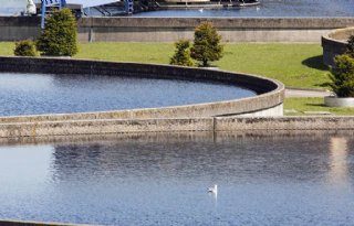 Afvalwater uit rioolzuivering bruikbaar voor glastuinbouw