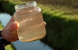 Waterschap vindt neonicotinoïde in sloot bij Bleiswijk