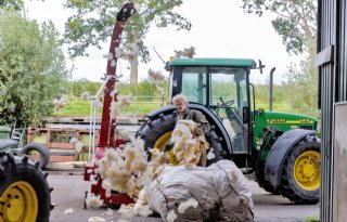 'Wol in de grond houdt water vast, denk ik'