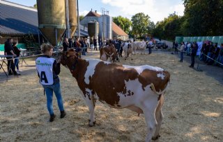 Frank Winter wint NK veebeoordelen 2024