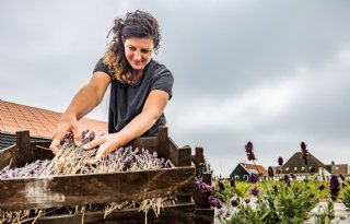 Texelse boerendochter maakt late carrièreswitch