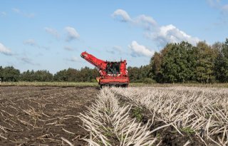 Tuinders verdienen meer dan akkerbouwers