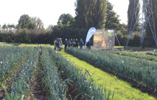 Bayer test verschillende toepassingen met biofungicide