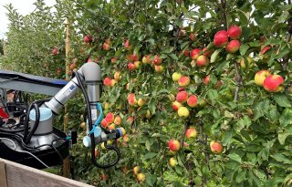 Munckhof leert robotarm appels plukken