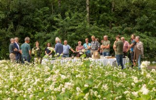 Coöperatie geeft boekweitteelt duw in de rug