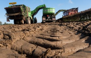 Noordwest-Europese aardappeloogst op een haar na afgerond