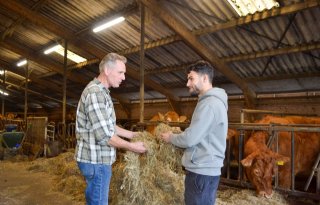 Statushouders kijken ogen uit op boerderij