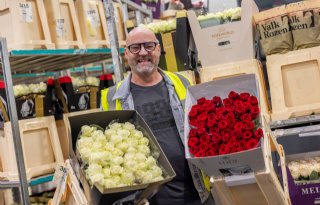 De roos is bijna uit Nederland verdwenen