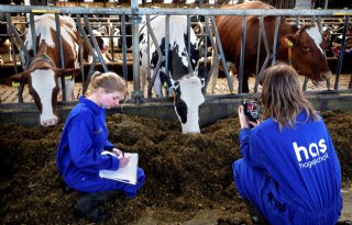 Veehouderijopleiding van HAS green academy is beste van het land