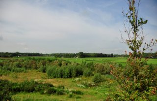 Pachtersbond: natuurorganisaties maken ongepast gebruik van wetgeving