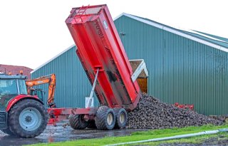 Cosun adviseert bietentelers rooibare dagen goed te benutten