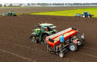 Winterplantuien in de grond voor jaarrond Nederlands product in het schap