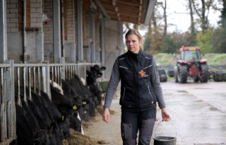 Onderzoek en veehouderij gaan hand in hand bij Erve Mentink