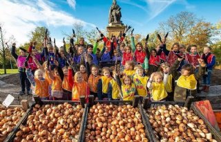 Schoolkinderen planten dit najaar 1,2 miljoen bloembollen